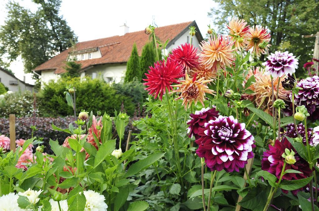 agroturystyka Orzechowe Wzgórze Orzechowo  Exterior foto